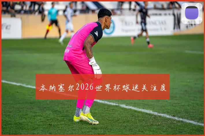 本纳塞尔2026世界杯球迷关注度
