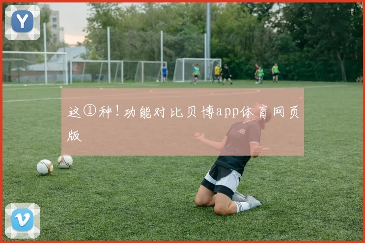 这①种!功能对比贝博app体育网页版