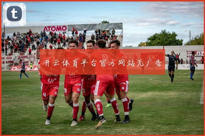 开云体育平台官方网站无广告