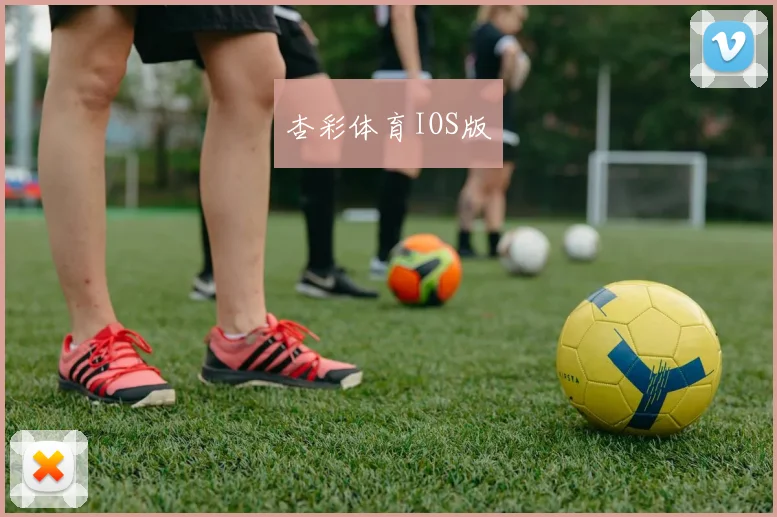 杏彩体育IOS版