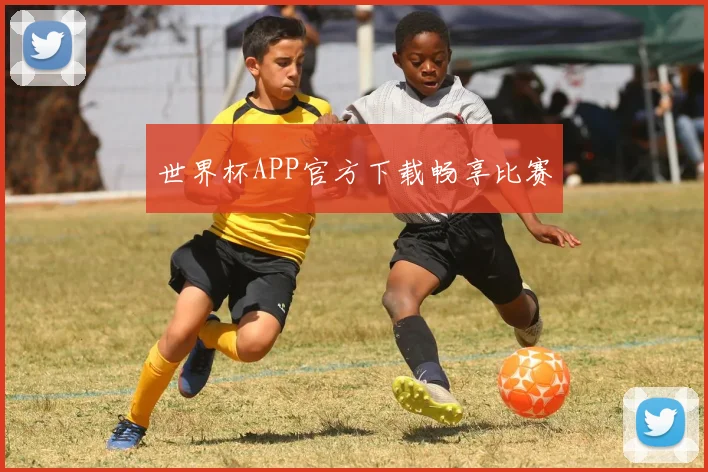 世界杯APP官方下载畅享比赛