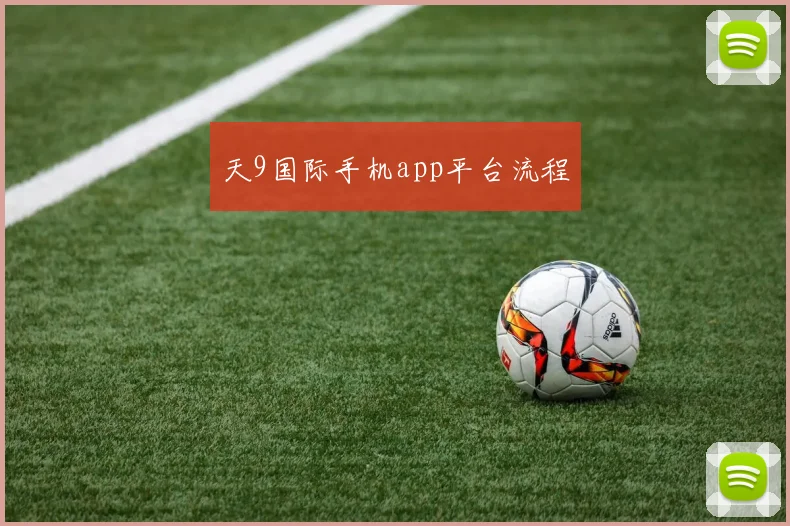 天9国际手机app平台流程