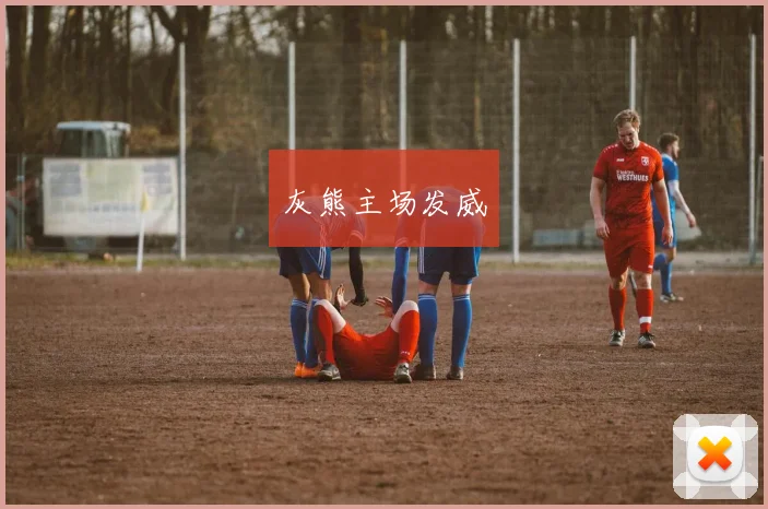 灰熊主场发威