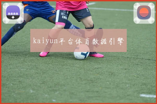 kaiyun平台体育数据引擎