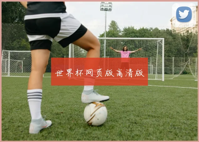 世界杯网页版高清版