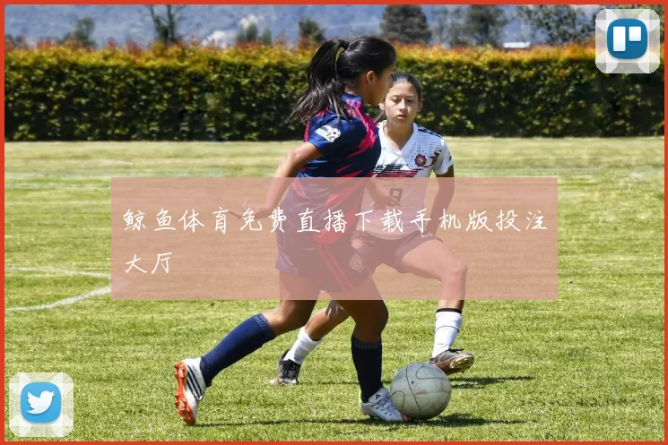 鲸鱼体育免费直播下载手机版投注大厅