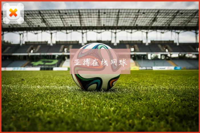 亚搏在线网球