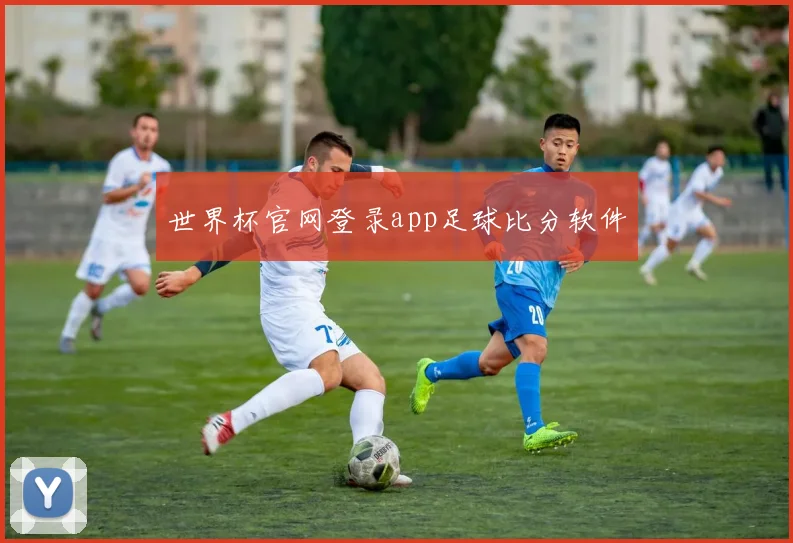 世界杯官网登录app足球比分软件