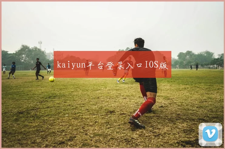 kaiyun平台登录入口IOS版