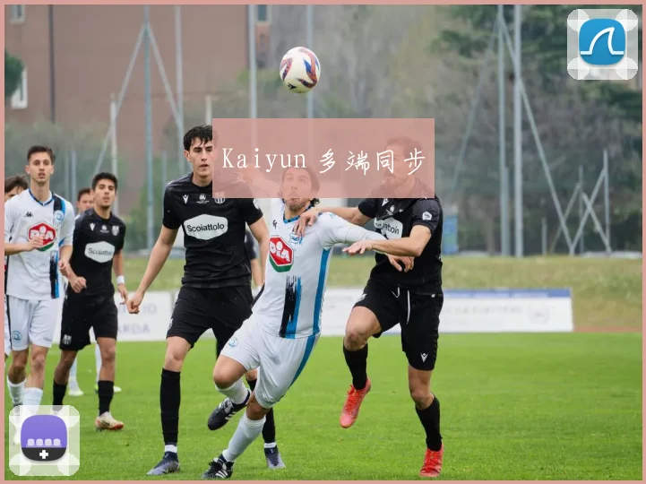 Kaiyun 多端同步