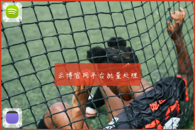 云博官网平台批量处理