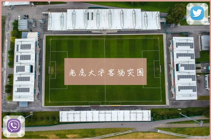 老虎大学客场突围