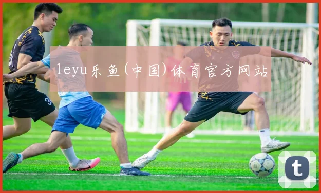 leyu乐鱼(中国)体育官方网站