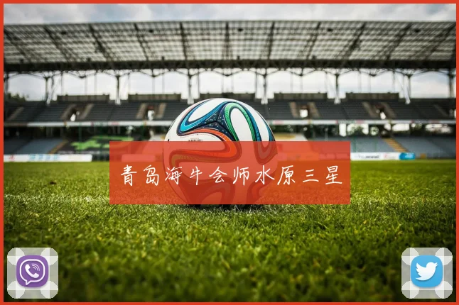 青岛海牛会师水原三星