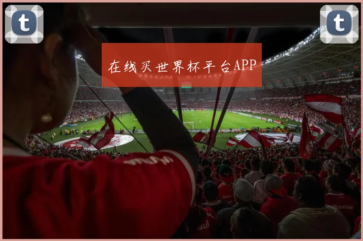 在线买世界杯平台APP