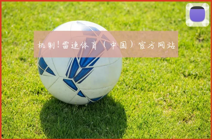 机制!雷速体育（中国）官方网站