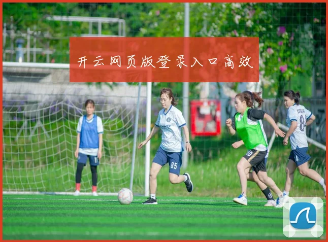 开云网页版登录入口高效