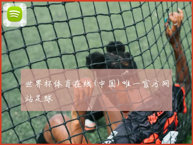 世界杯体育在线(中国)唯一官方网站足球