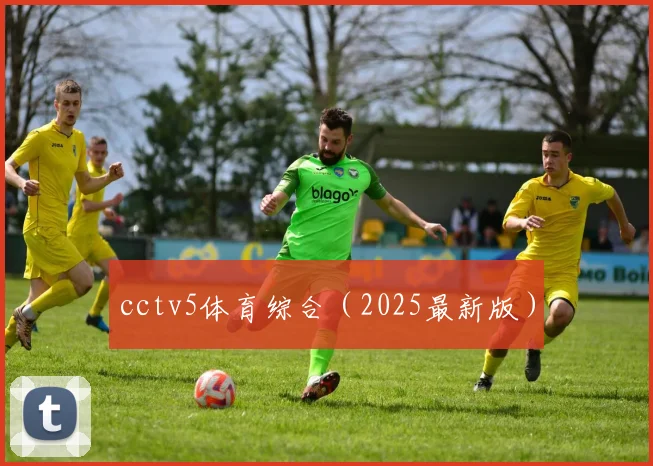 cctv5体育综合（2025最新版）