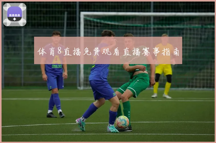 体育8直播免费观看直播赛事指南