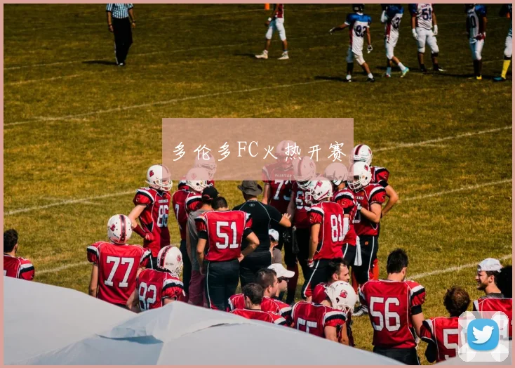 多伦多FC火热开赛