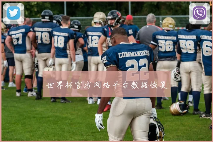 世界杯官方网络平台数据恢复