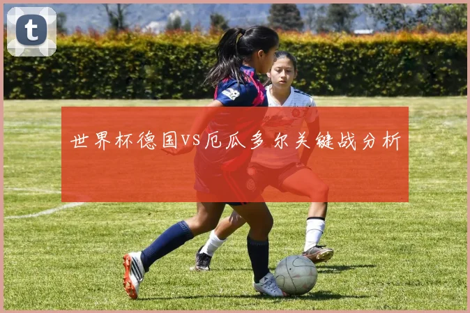 世界杯德国vs厄瓜多尔关键战分析