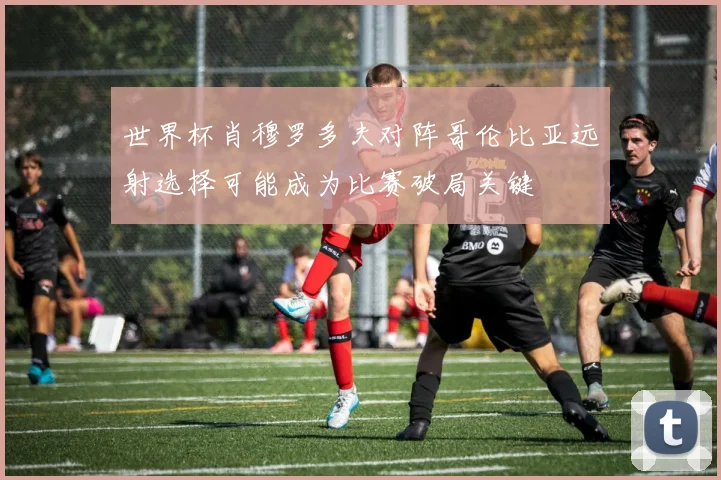 世界杯肖穆罗多夫对阵哥伦比亚远射选择可能成为比赛破局关键